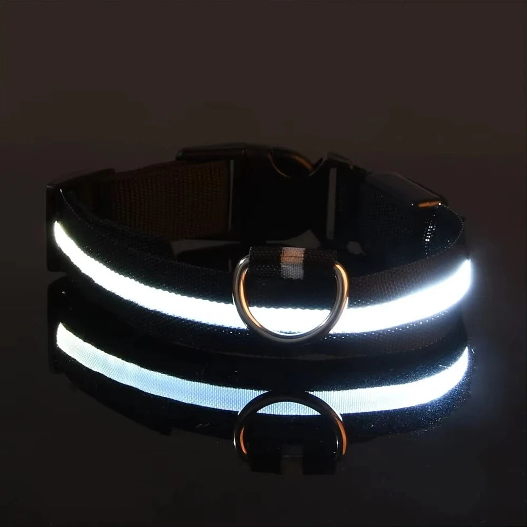 Lumi Leash