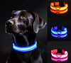 Lumi Leash