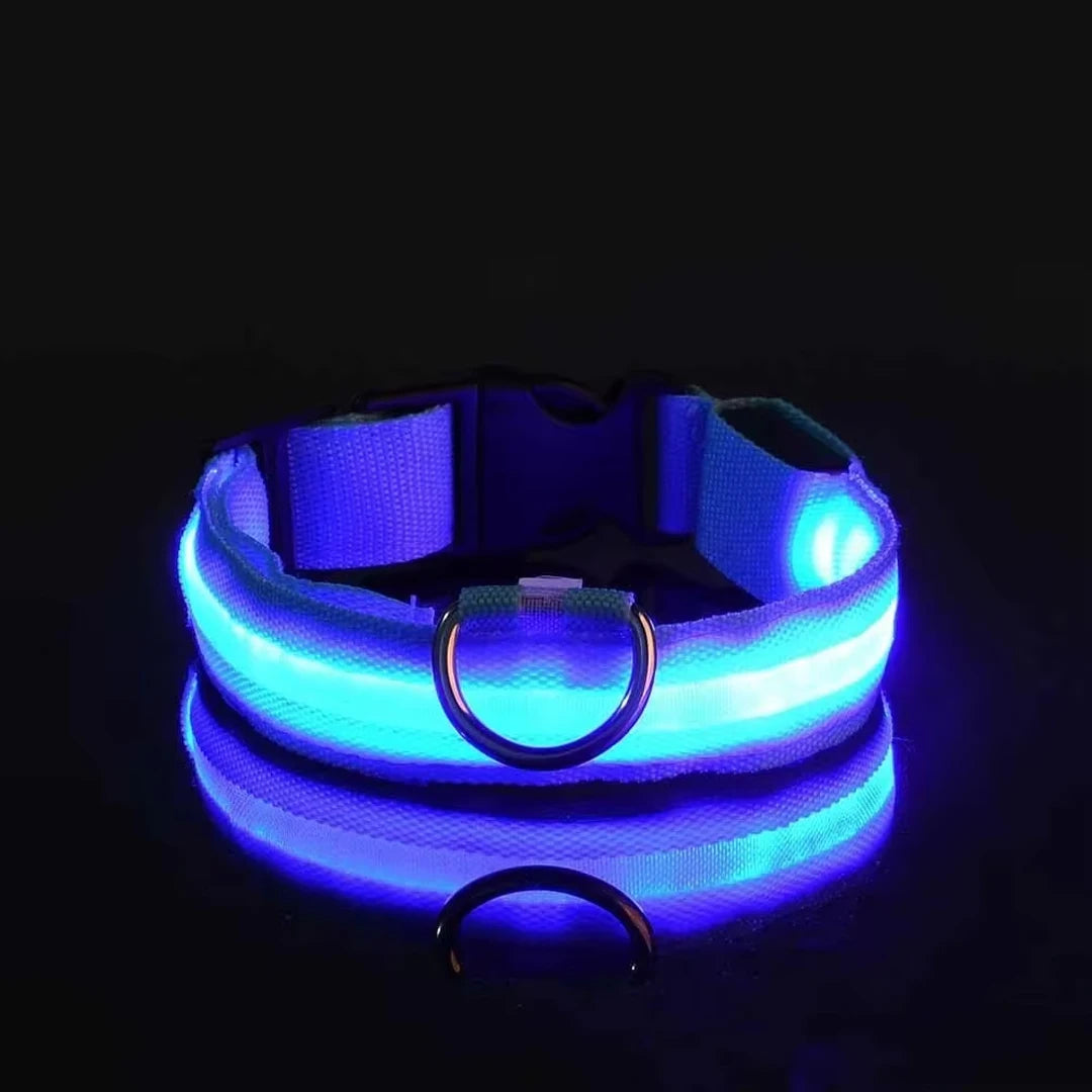 Lumi Leash