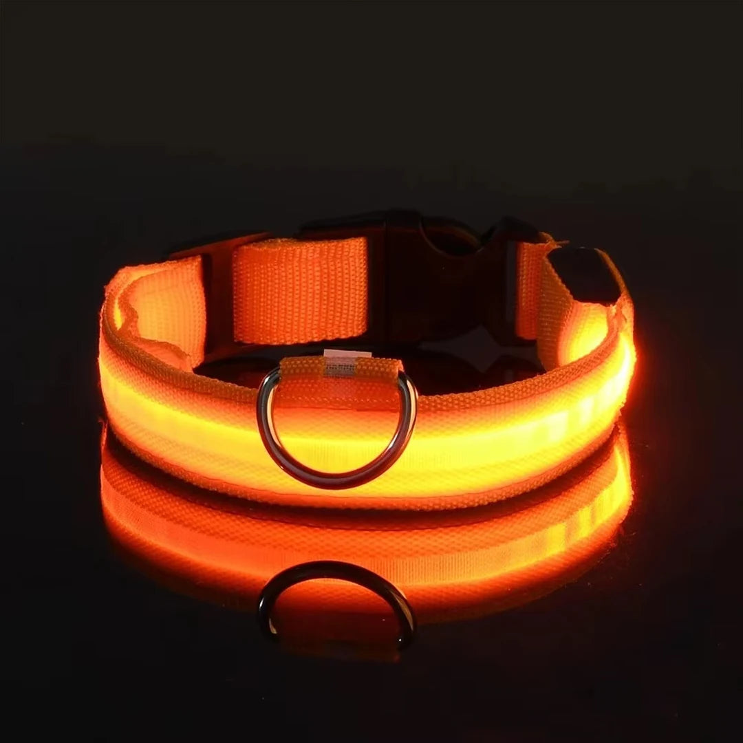 Lumi Leash